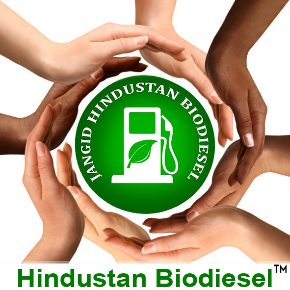 Hindustan Biodiesel WHAT WE ARE