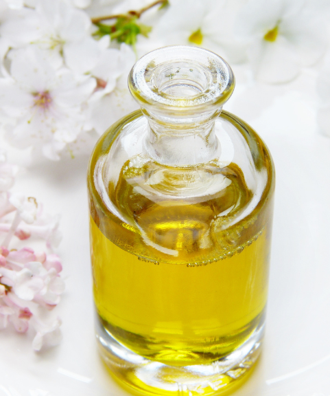 Hindustan Biodiesel Fuel from Oils & Waste